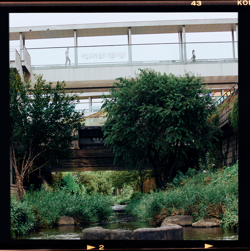 을지로 아트 워크숍: 빛으로 기록한 도시 풍경