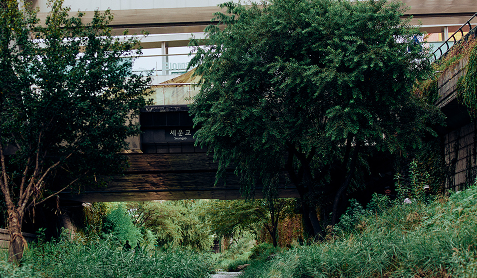 을지로 아트 워크숍: 빛으로 기록한 도시 풍경