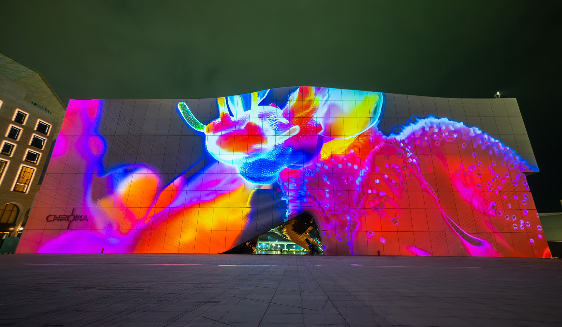 장윤영, 〈공생의 빛〉